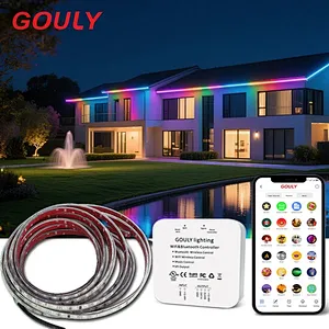 DC24V IP20 IP67 RGB Smart LED Strip Lights